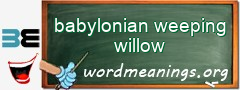 WordMeaning blackboard for babylonian weeping willow